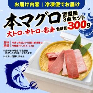 ふるさと納税 【3回定期便】 鮪 刺身 食べ比べ 大トロ 中トロ 赤身 約 300g 静岡県藤枝市