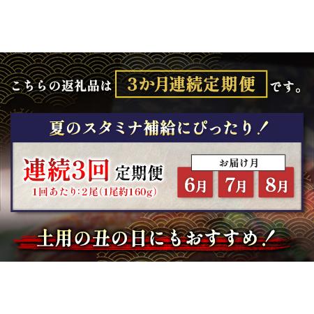 ふるさと納税 うなぎ 蒲焼 定期便 ＜計3回＞ 鰻 2尾 （計960g） 国産 ウナギ 3か月 連続 人気 ギフト 贈答品 おすすめ 小分け 宮崎県 高鍋町 名.. 宮崎県高鍋町_1