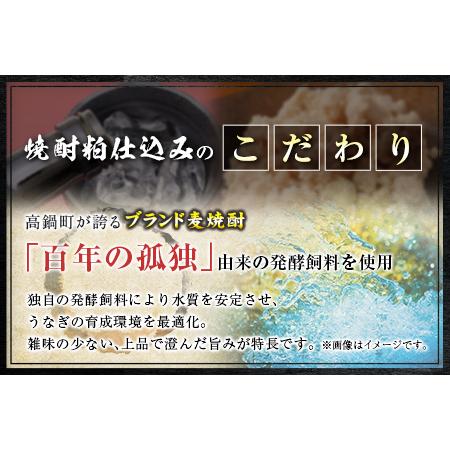 ふるさと納税 うなぎ 蒲焼 定期便 ＜計3回＞ 鰻 2尾 （計960g） 国産 ウナギ 3か月 連続 人気 ギフト 贈答品 おすすめ 小分け 宮崎県 高鍋町 名.. 宮崎県高鍋町_3