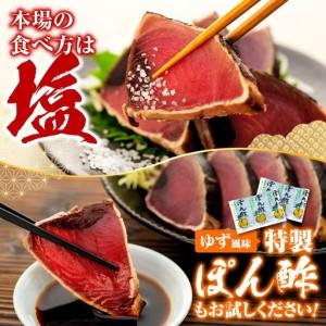 ふるさと納税 【11回定期便】かつおのたたき 3kg かつおのたたき 高知県安芸市_3