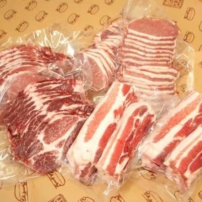 ふるさと納税 島豚焼肉セット F 鹿児島県伊仙町