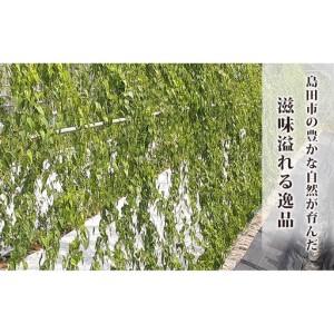 ふるさと納税 冷凍とろろ汁（かつお出汁）215g 2個 12ヶ月定期便 とろろ 自然薯 じねんじょ 山芋 山かけ とろろご飯 そば うどん 小分け 冷凍 静.. 静岡県島田市_4