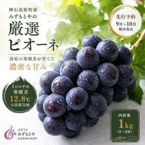 ふるさと納税 [先行予約]厳選ピオーネ|高原の寒暖差が育てた濃密な甘み 約1kg [9月上旬-10月下旬出荷予定(土日祝除く)]広島県 神石高原.. 広島県神石高原町