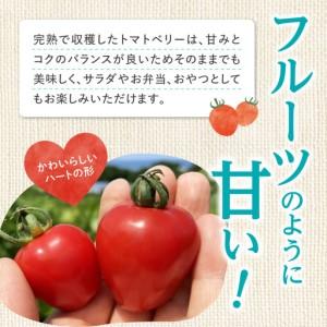ふるさと納税 【7月上旬発送】余市町 中野ファーム トマトベリー 1kg トマト_Y026-0014 北海道余市町_1