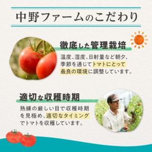 ふるさと納税 【7月上旬発送】余市町 中野ファーム トマトベリー 1kg トマト_Y026-0014 北海道余市町_2