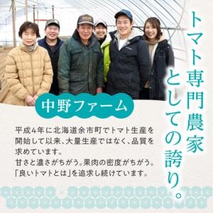 ふるさと納税 【7月上旬発送】余市町 中野ファーム トマトベリー 1kg トマト_Y026-0014 北海道余市町_3