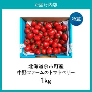 ふるさと納税 【7月上旬発送】余市町 中野ファーム トマトベリー 1kg トマト_Y026-0014 北海道余市町_4