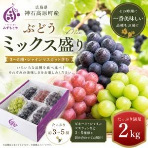 ふるさと納税 厳選ぶどうミックス盛り(3〜5種・シャインマスカット入り)約2kg|食べ比べセット・数量限定 広島県神石高原町