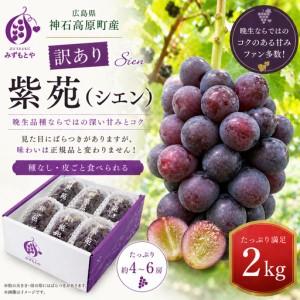 ふるさと納税 先行予約][訳あり] 神石高原町産 紫苑(シエン)ぶどう 約2kg|晩生品種・濃厚な甘み(ご家庭用) 広島県神石高原町