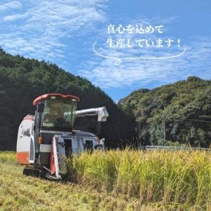 ふるさと納税 【定期便 3ヶ月】令和7年産 米 ひのひかり 10kg 下関 山口 LO002-A 山口県下関市_2