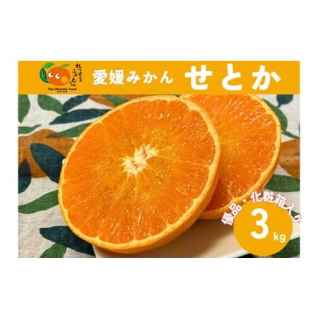 ふるさと納税 [2027年先行予約]みかん 愛媛県 せとか 3kg 優品 12〜15個 レッスルファーム [2027年1月中旬以降発送] 数量限定 おすすめ 美味.. 愛媛県伊予市