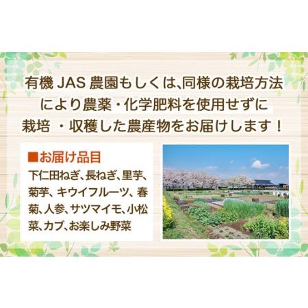 ふるさと納税 旬の有機野菜詰合せ／群馬県甘楽町産 [0350] 群馬県甘楽町_1