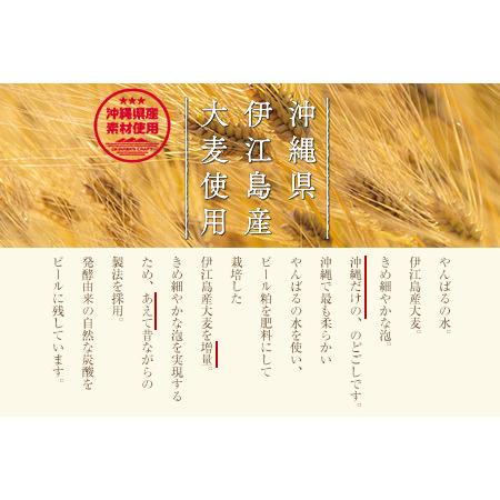 ふるさと納税 オリオン ザ・ドラフトビール(350ml×24本) オリオンビール 沖縄県中城村|furunavi|02