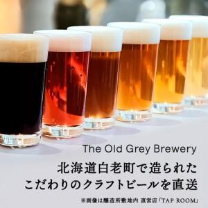 ふるさと納税 【白老町のクラフトビール】「ロート・ラズベリー」（計48本）《The Old Grey Brewery》 北海道白老町_1