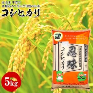 ふるさと納税 コシヒカリ 5kg 甲賀で丹精込めて育んだ自慢のお米 滋賀県甲賀市