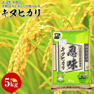 ふるさと納税 キヌヒカリ 5kg 甲賀で丹精込めて育んだ自慢のお米 滋賀県甲賀市