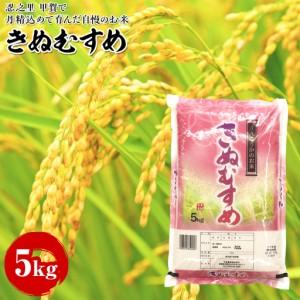 ふるさと納税 きぬむすめ 5kg 甲賀で丹精込めて育んだ自慢のお米 滋賀県甲賀市