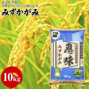 ふるさと納税 みずかがみ 10kg 甲賀で丹精込めて育んだ自慢のお米 滋賀県甲賀市