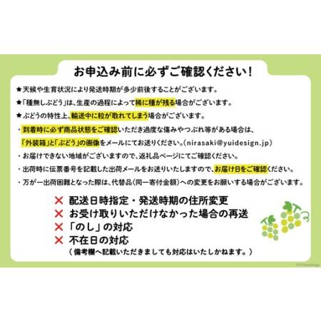 ふるさと納税 【2026年発送】 シャインマスカット 先行予約 頬張る幸福感 〜緑の宝石・シャインマスカット〜 1kg 以上 (2〜3房) [REGALO 山梨県 .. 山梨県韮崎市_1