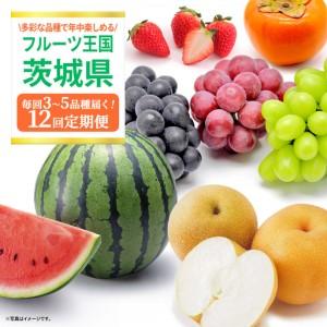 ふるさと納税 【定期便】フルーツセット（12回定期）（茨城県共通返礼品） 茨城県つくばみらい市_1