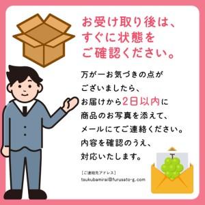ふるさと納税 【定期便】フルーツセット（12回定期）（茨城県共通返礼品） 茨城県つくばみらい市_3
