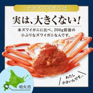 ふるさと納税 【訳あり】北海道噴火湾産 活オオズワイガニ1kg ＜道産ネットミツハシ＞ かに カニ 蟹 ガニ がに 森町 ふるさと納税 北海道 ずわいが.. 北海道森町_1
