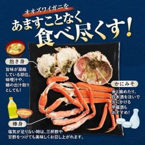ふるさと納税 【訳あり】北海道噴火湾産 活オオズワイガニ1kg ＜道産ネットミツハシ＞ かに カニ 蟹 ガニ がに 森町 ふるさと納税 北海道 ずわいが.. 北海道森町_2