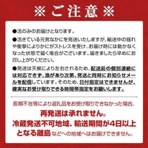 ふるさと納税 【訳あり】北海道噴火湾産 活オオズワイガニ1kg ＜道産ネットミツハシ＞ かに カニ 蟹 ガニ がに 森町 ふるさと納税 北海道 ずわいが.. 北海道森町_3