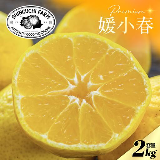 ふるさと納税 [先行受付]老舗農家が見極めたプレミアム[媛小春2kg] 愛媛県新品種[C70-99][1671387] YWTK098 愛媛県八幡浜市