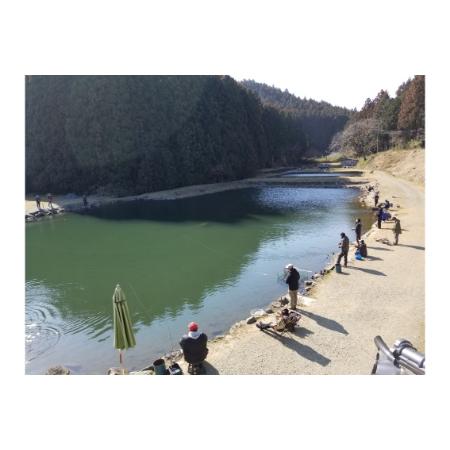 新入荷 ふるさと納税 308Club 5回分回数券｜矢板市 釣り 釣り堀 フィッシング 観光 旅行 チケット [0084] 栃木県矢板市 【WSO1086341315】(38250円)