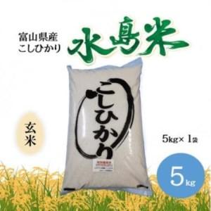 ふるさと納税 栽培期間中農薬・化学肥料不使用 こしひかり 玄米 5kg×1袋(5kg)[1735069] 富山県小矢部市