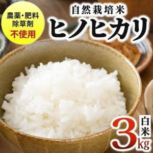ふるさと納税 農薬・除草剤・肥料不使用 自然栽培米 令和7年度産ヒノヒカリ 白米 3kg 福岡県篠栗町
