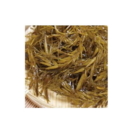 ふるさと納税 ［由良町産］ 紀州 あかもく 由良町産 100g×7風呂敷き包み 2026年産/ 海草 フコイダン もずく 【sml214-100-7】  和歌山県広川町