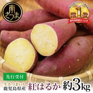ふるさと納税 [鹿児島県産]生さつまいも「紅はるか」約3kg ★11月以降順次出荷★ 冬季限定 先行受付 さつまいも 生いも 生芋 焼き芋 さ.. 鹿児島県南さつま市