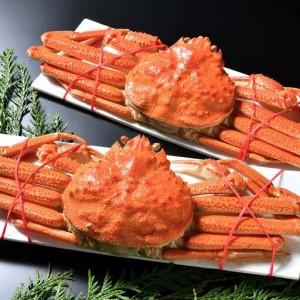 ふるさと納税 オオズワイガニ オス姿 2尾 300〜350g前後×2尾 ＜海鮮問屋　株式会社　瑞宝＞ かに カニ 蟹 ガニ がに 海鮮 森町 北海道 mr1-13.. 北海道森町_3