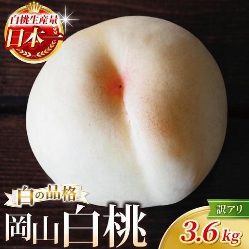 ふるさと納税 [訳あり] 桃 岡山県産 品種お任せ 約3.6kg 訳あり もも [hnds004] 岡山県真庭市