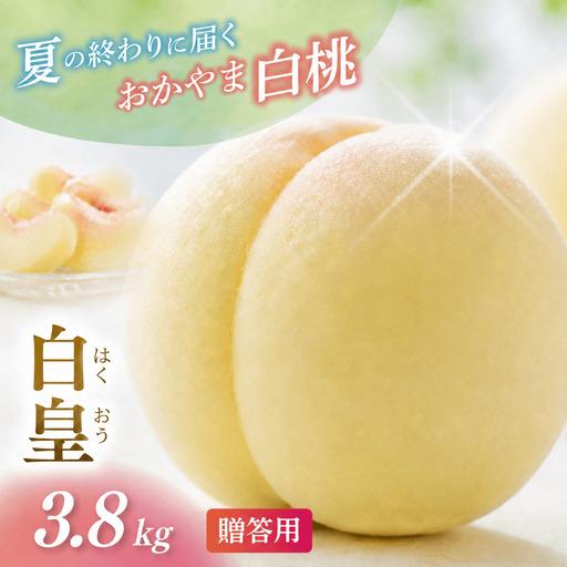 ふるさと納税 桃 岡山県産白桃白皇 贈答用3.8kg フルーツ もも [hnds006] 岡山県真庭市