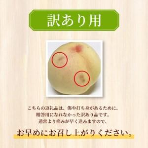 ふるさと納税 【2026年先行予約】 岡山県産 白皇 3.8kg 訳アリ 白桃 はくおう 花田青果【8月中旬〜9月初旬まで順次発送予定】/ 桃 もも モモ 果.. 岡山県真庭市_1