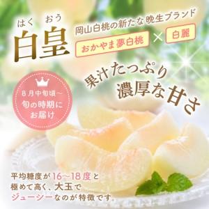 ふるさと納税 【2026年先行予約】 岡山県産 白皇 3.8kg 訳アリ 白桃 はくおう 花田青果【8月中旬〜9月初旬まで順次発送予定】/ 桃 もも モモ 果.. 岡山県真庭市_2