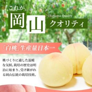 ふるさと納税 【2026年先行予約】 岡山県産 白皇 3.8kg 訳アリ 白桃 はくおう 花田青果【8月中旬〜9月初旬まで順次発送予定】/ 桃 もも モモ 果.. 岡山県真庭市_3