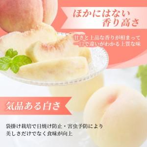 ふるさと納税 【2026年先行予約】 岡山県産 白皇 3.8kg 訳アリ 白桃 はくおう 花田青果【8月中旬〜9月初旬まで順次発送予定】/ 桃 もも モモ 果.. 岡山県真庭市_4