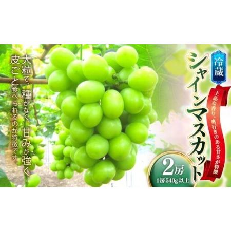 ふるさと納税 冷蔵 シャインマスカット 2房 ( 1房 540g以上 ) 甘味 食感 くだもの 果物 果実 フルーツ ぶどう 葡萄 マスカット 国産 岡山県産 .. 岡山県美咲町