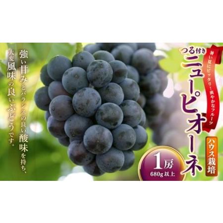 ふるさと納税 つる付きニューピオーネ 1房 ( 680g以上 ) ハウス栽培 ニューピオーネ つる付き 果物 くだもの 果実 フルーツ 葡萄 ぶどう ブド.. 岡山県美咲町