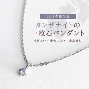 ふるさと納税 純チタンタンザナイトの一粒石ペンダント ネックレス | アクセサリー ネックレス 新潟県 弥彦村 新潟県弥彦村