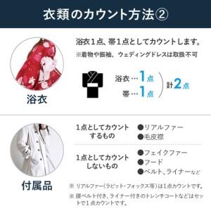 ふるさと納税 衣類の宅配クリーニング プレミアムコース 10点詰め放題 保管付き 【クリーニング ハンガー仕上げ ダウン ワンピース シミ抜き無.. 新潟県糸魚川市の画像