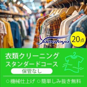 ふるさと納税 衣類の宅配クリーニング 保管なし スタンダードコース 20点詰め放題 [クリーニング ハンガー仕上げ ダウン ワンピース シミ抜き.. 新潟県糸魚川市