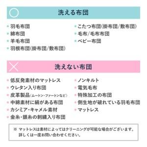 ふるさと納税 衣類＆布団の宅配クリーニング 衣類10点＋布団１枚 保管付き 【お得なMIXクリーニング ワンピース シミ抜き無料 冬物 預かり 保.. 新潟県糸魚川市の画像
