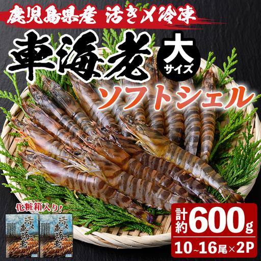 ふるさと納税 車海老 ソフトシェル 大・計約600g 冷凍 海老 希少[車海老日本株式会社]n435 鹿児島県中種子町
