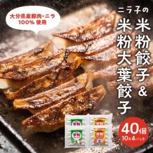 ふるさと納税 大分特産!グルテンフリーのニラと大葉の米粉餃子 A02038 大分県大分市