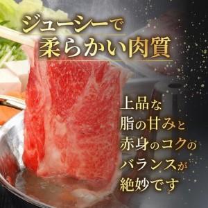 ふるさと納税 博多和牛 贅沢しゃぶしゃぶ・すき焼きセット 福岡県那珂川市_2